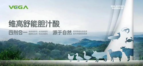 新希望成本控制成效初顯，溫氏海大業(yè)務擴張加速 畜牧行業(yè)的新動態(tài)